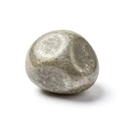 Bladder stone