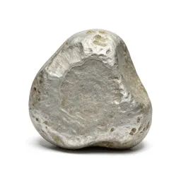 Petrifaction