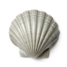 Shell plating