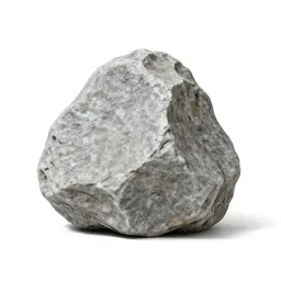 Tor