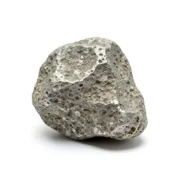 Xenolith