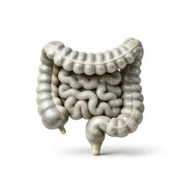 Enterolith