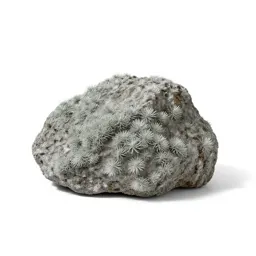Outcrop