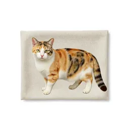 Calico
