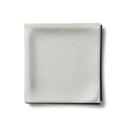Chamois cloth