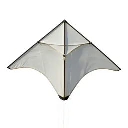 Sport kite