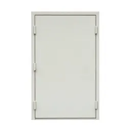 Cargo door