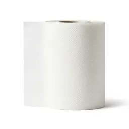 Paper towel
