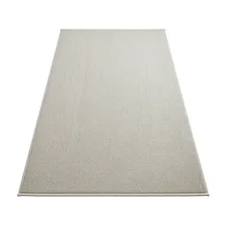 Shag rug