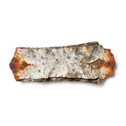 Bark