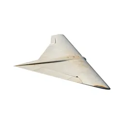 Delta wing