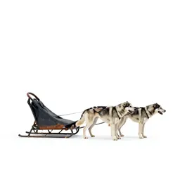 Dogsled