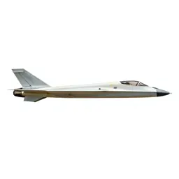 Stealth aircraft