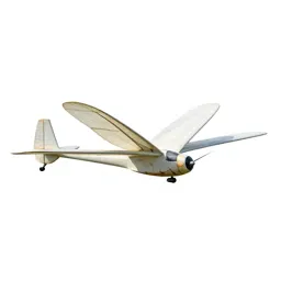Orthopter