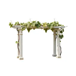 Grape arbor