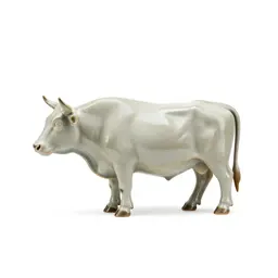 Kraal