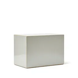 Prompt box