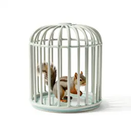 Squirrel cage