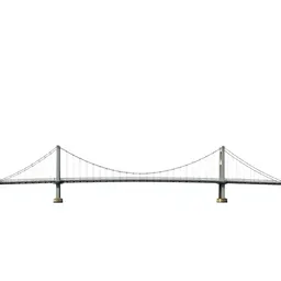 Suspension bridge