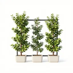 Espalier