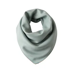Muffler