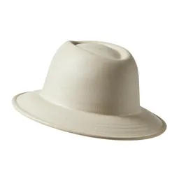 Picture hat