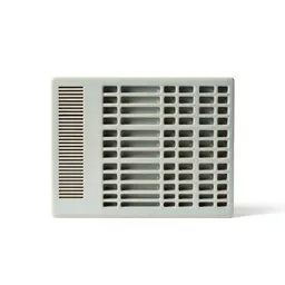 Multiprocessor