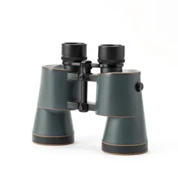 Binocular microscope