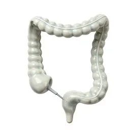 Colonoscope