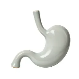 Gastroscope