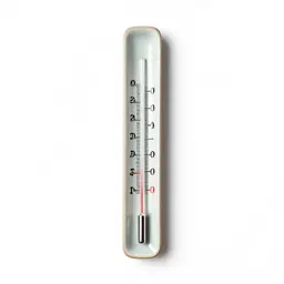 Mercury thermometer