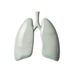 Spirometer