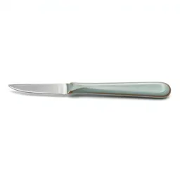 Surgical knife