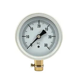 Vacuum gauge
