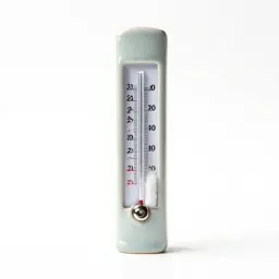 Wet-bulb thermometer