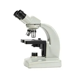 Angioscope