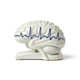 Electroencephalograph
