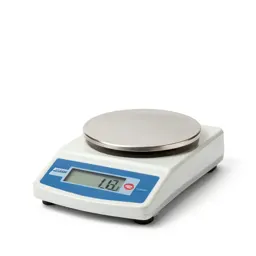 Electronic balance
