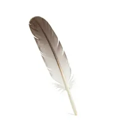 Quill