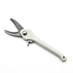Pruner