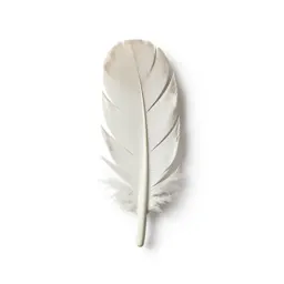 Plume