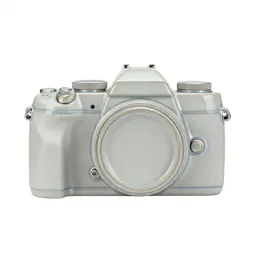 Reflex camera