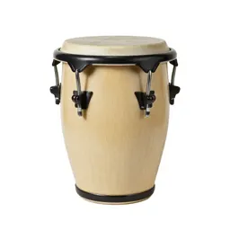 Bongo