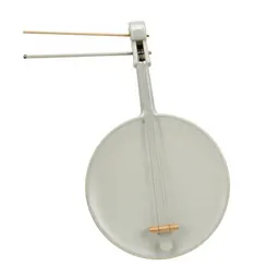 Bowed stringed instrument
