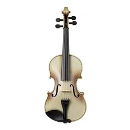 Viola