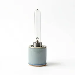 Neon lamp