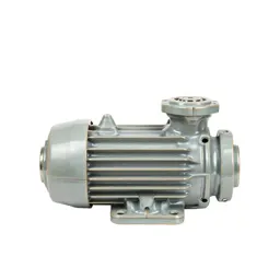 Hydraulic pump