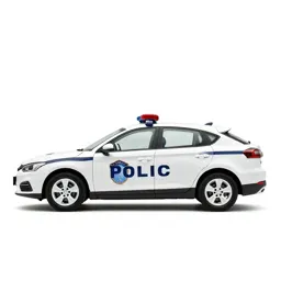 Panda car