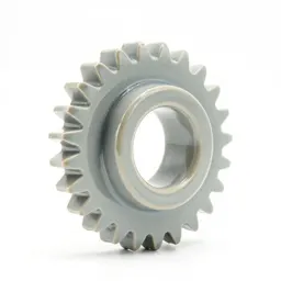 Spur gear