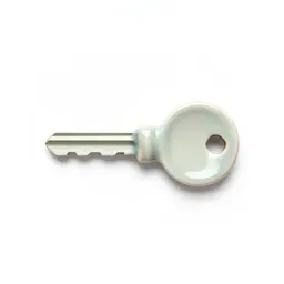 Watch key